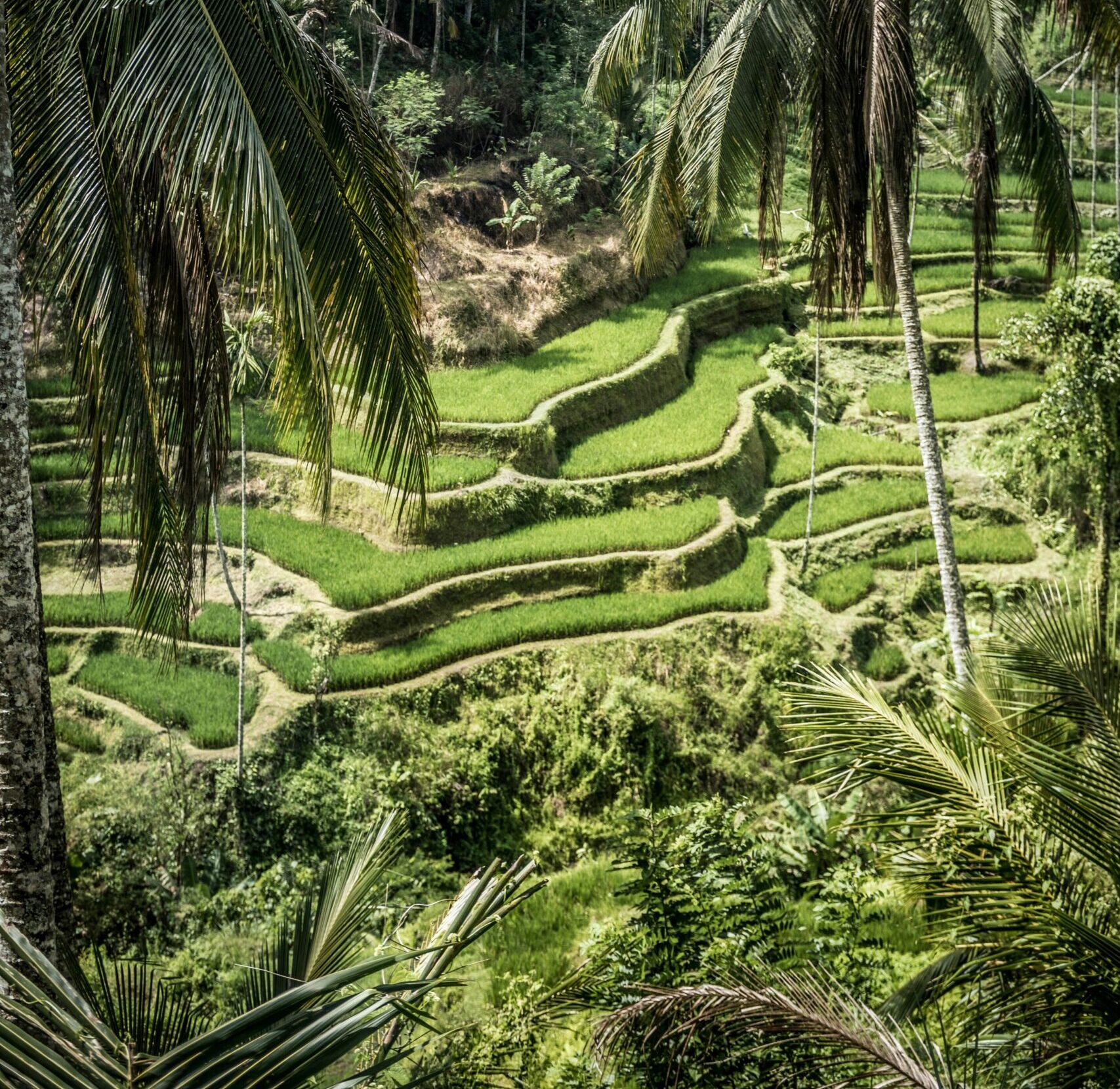 bernard-hermant-CrmcJFwtSGA-unsplash