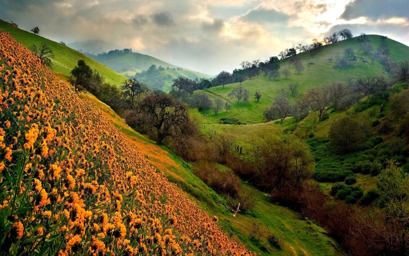 the_valley_of_flowers-1920x1200-e1492679127530