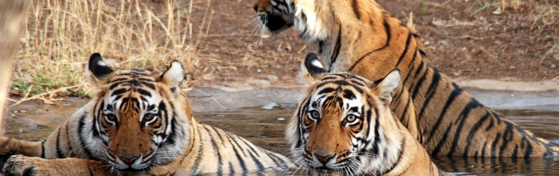 636936045053102169IqoRU8