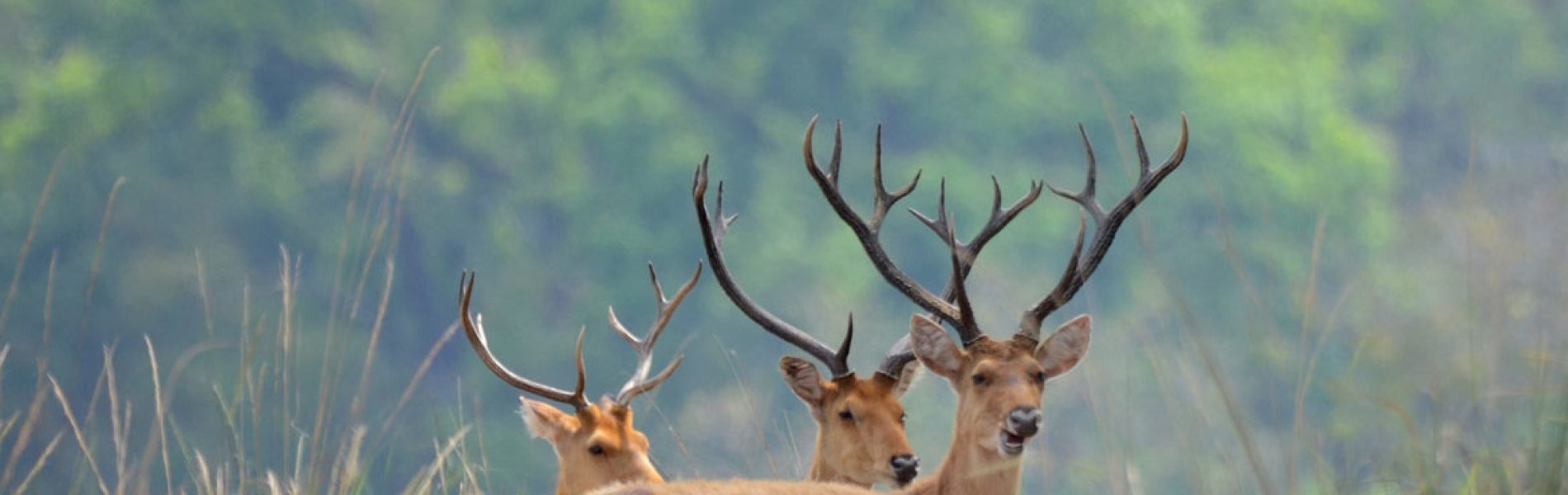 636936045053102169sUpQ90