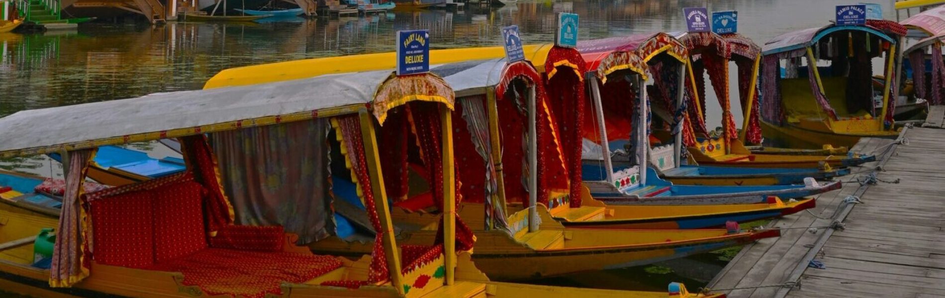 aana-singh-xDgNDIODVrY-unsplash (1)