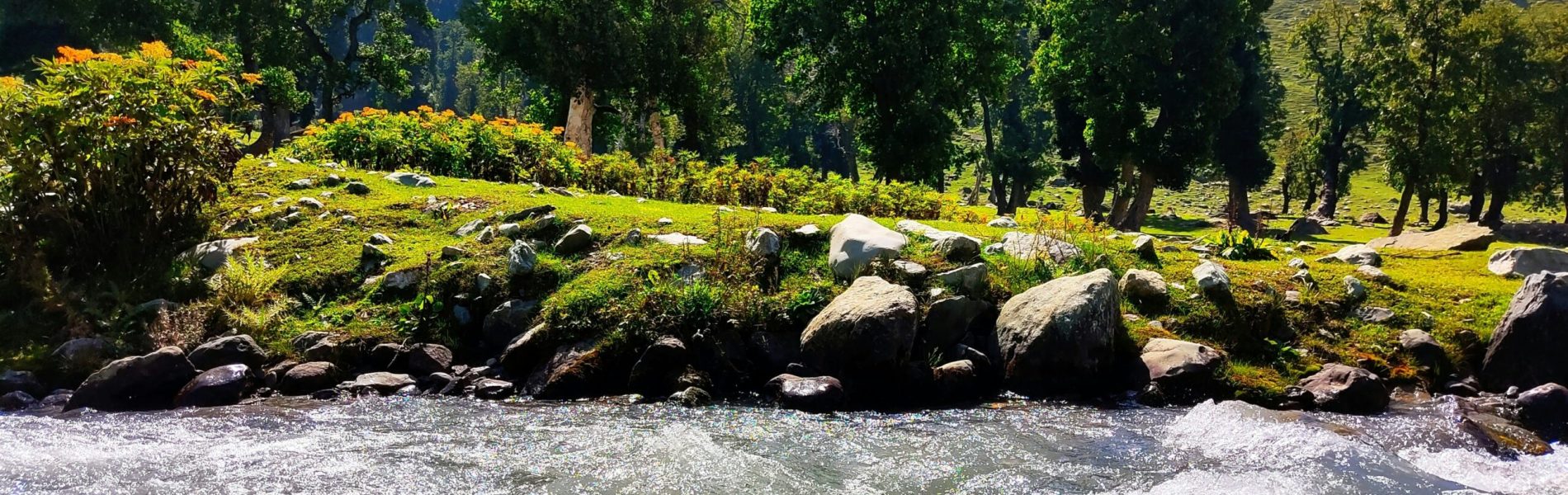 abdul-muiz-khan-nWhNYRlMBAg-unsplash