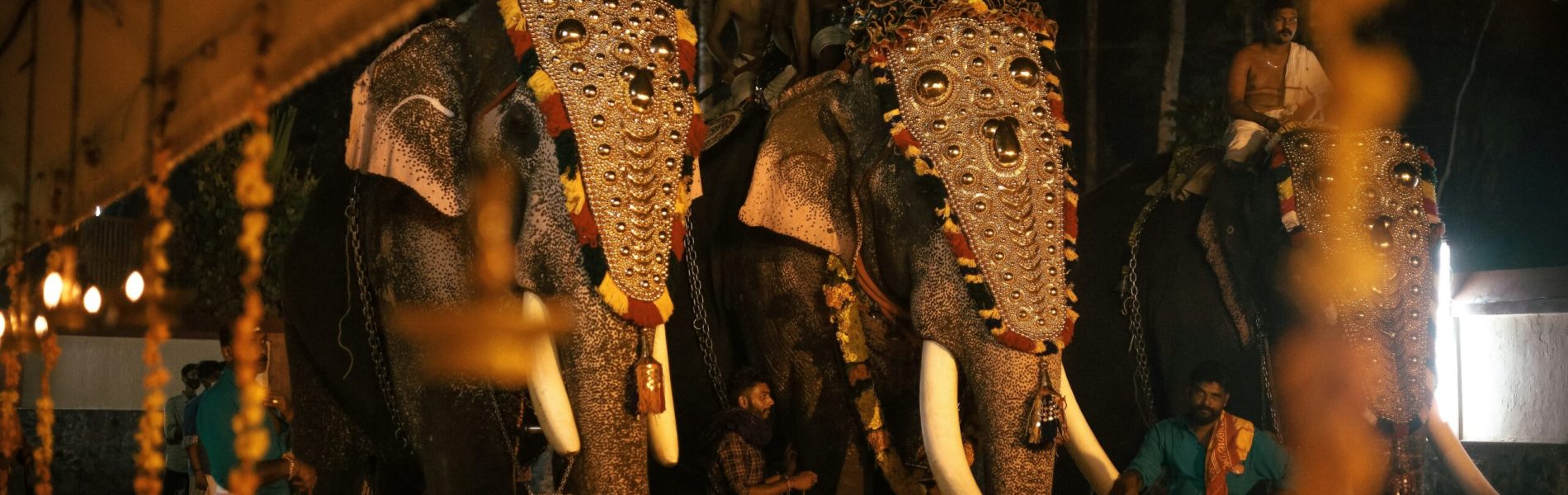 ajin-k-s-0tuzOfs-T3s-unsplash