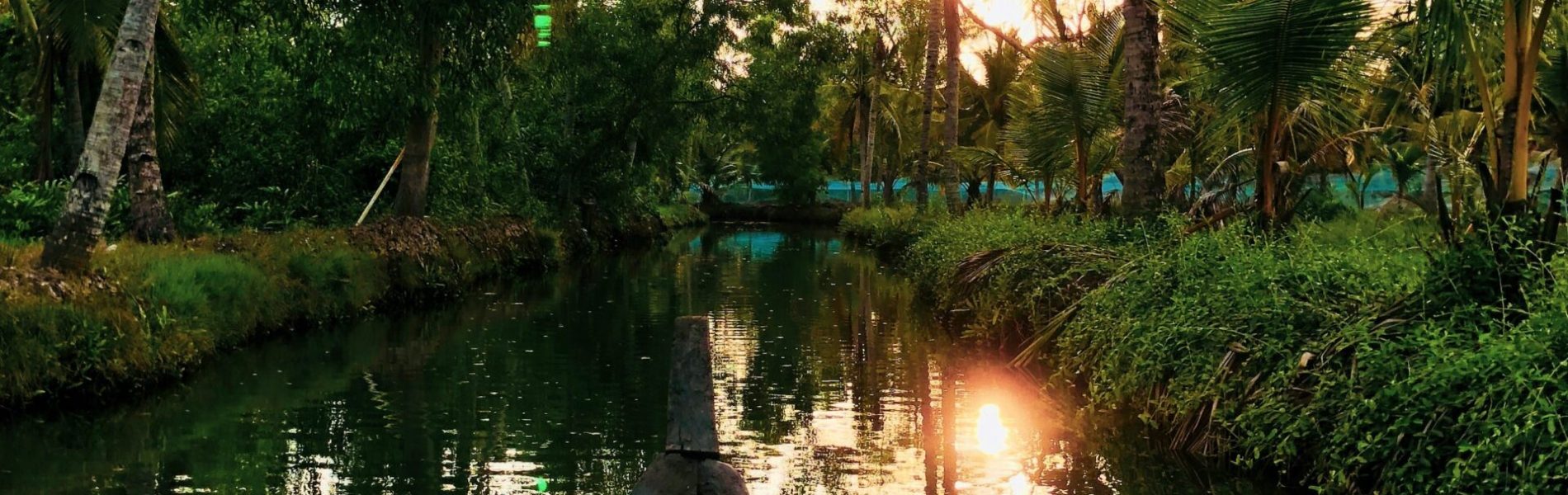 ajmal-mk-pfLyzuGfofY-unsplash