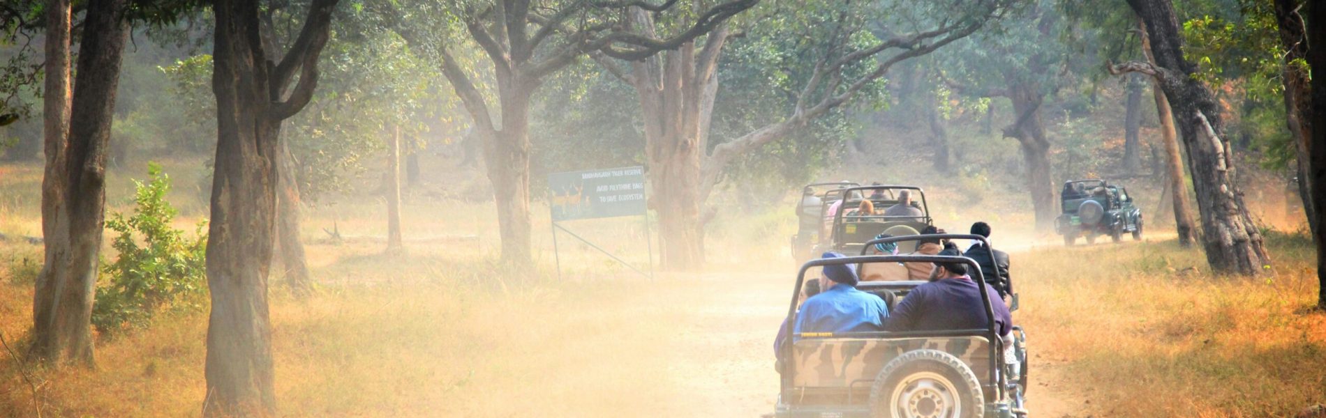 amit-jain-AHEdlgRLlLM-unsplash