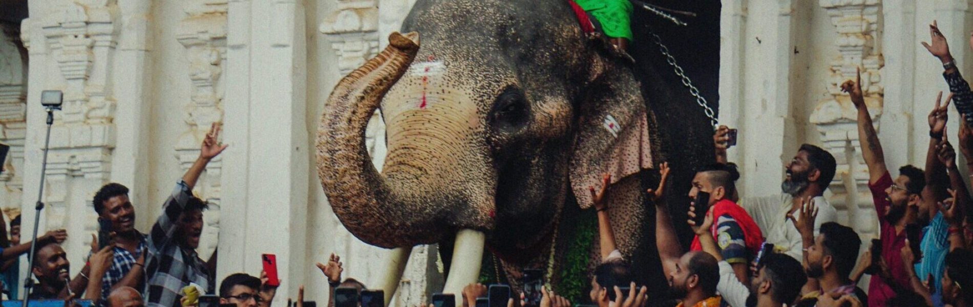 ananthu-ganesh-pYl7RruwIvE-unsplash