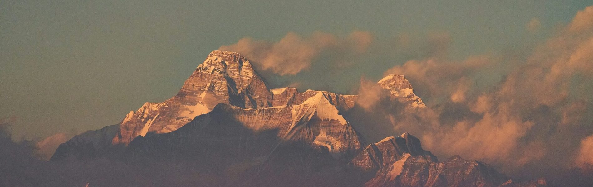 ashwini-chaudhary-monty-QzCV2to_xtw-unsplash