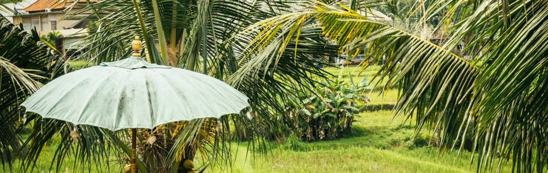 bernard-hermant-mnLQUZz0zrU-unsplash