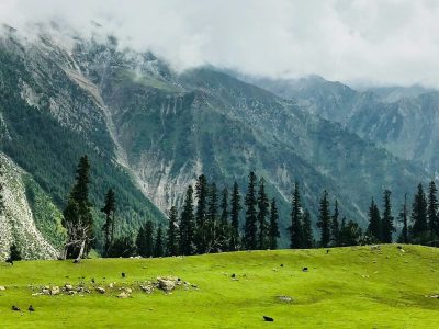 bhavesh-sawant-0Qwks3FIeQc-unsplash