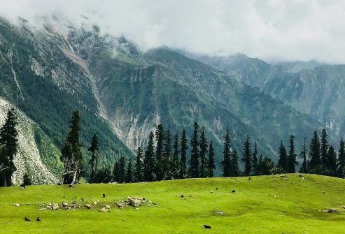 bhavesh-sawant-0Qwks3FIeQc-unsplash