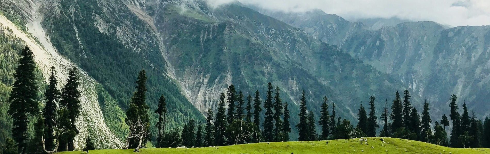 bhavesh-sawant-0Qwks3FIeQc-unsplash