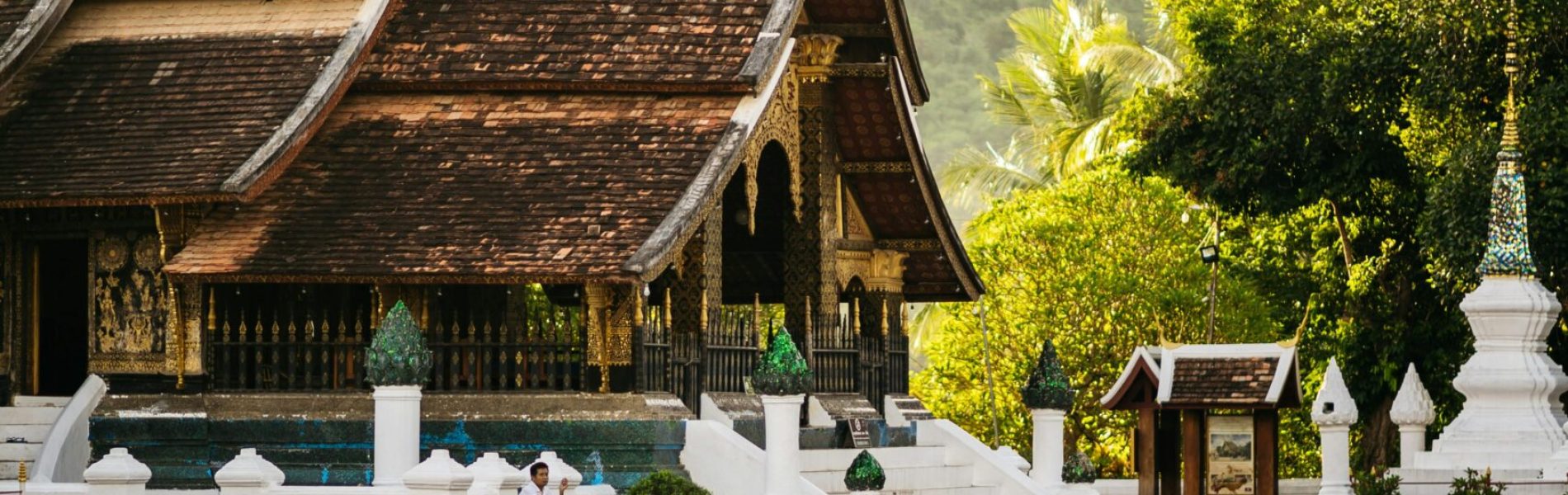 chuttersnap-N5Axy0qtrGE-unsplash