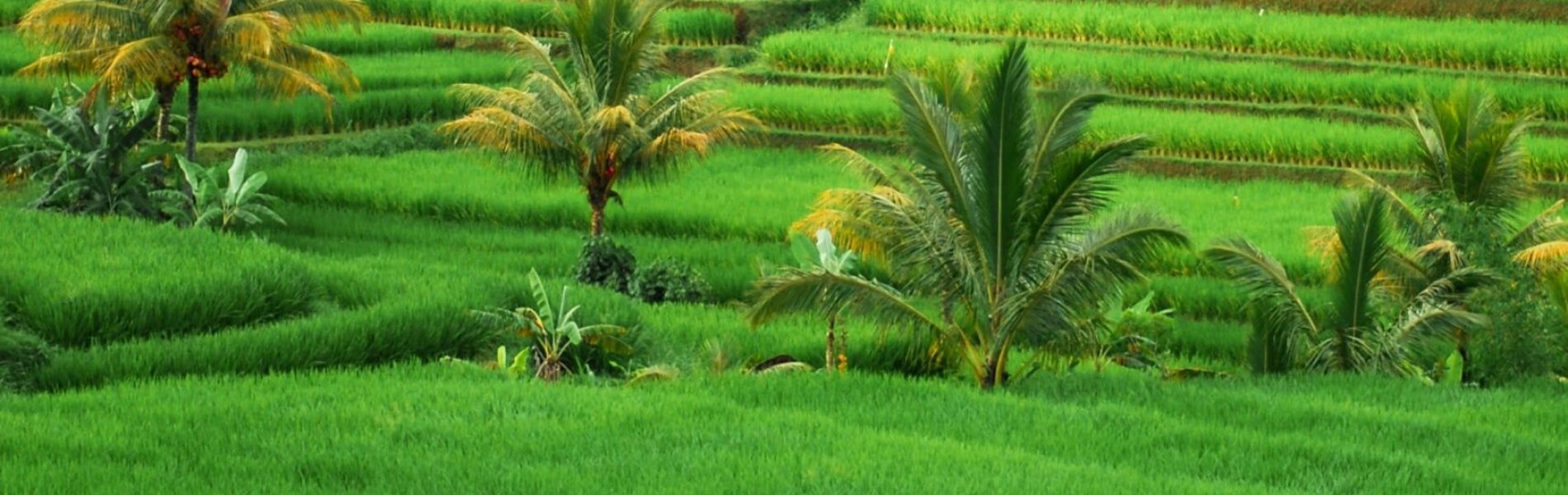 claudia-fernandez-ortiz-TF1qnG9eZHQ-unsplash