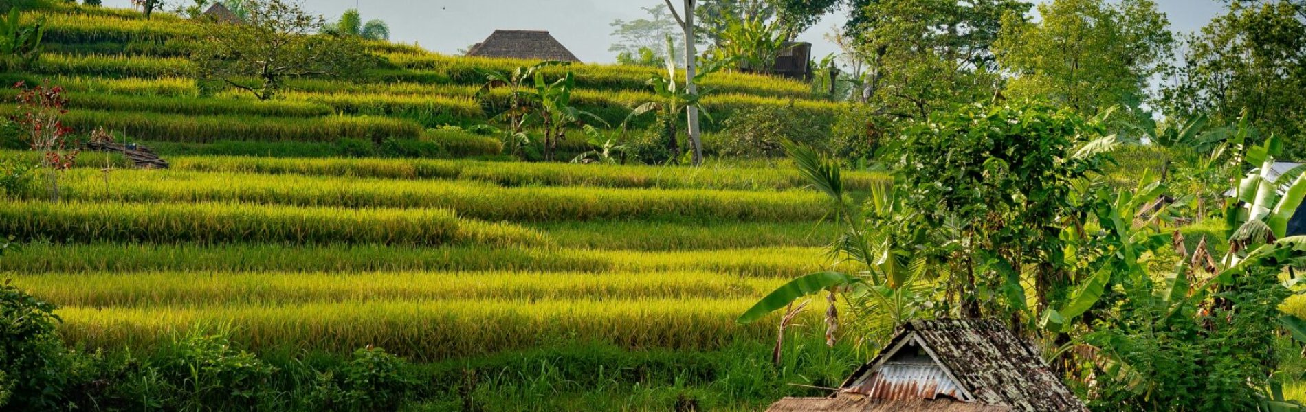 darcey-beau-70zt5R19Bfk-unsplash