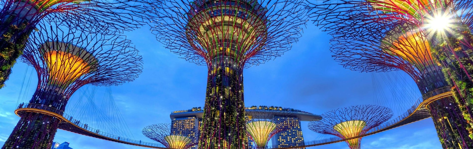 duy-nguyen-9WwWGeHEbmQ-unsplash