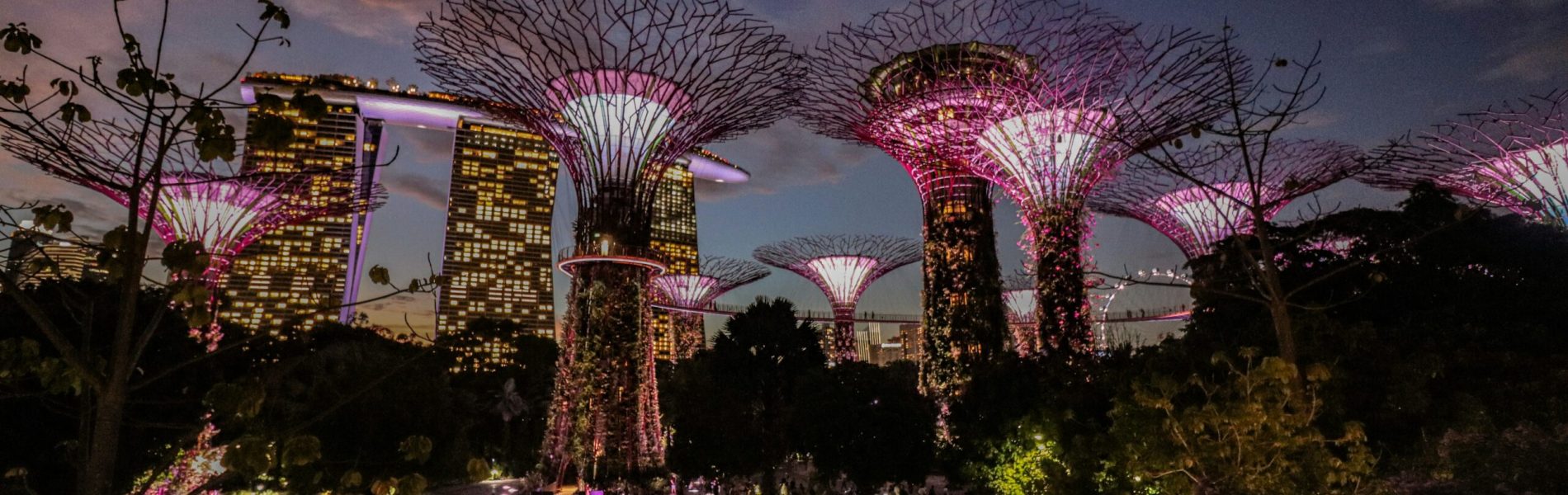 florian-wehde-IjsNawKqLMU-unsplash