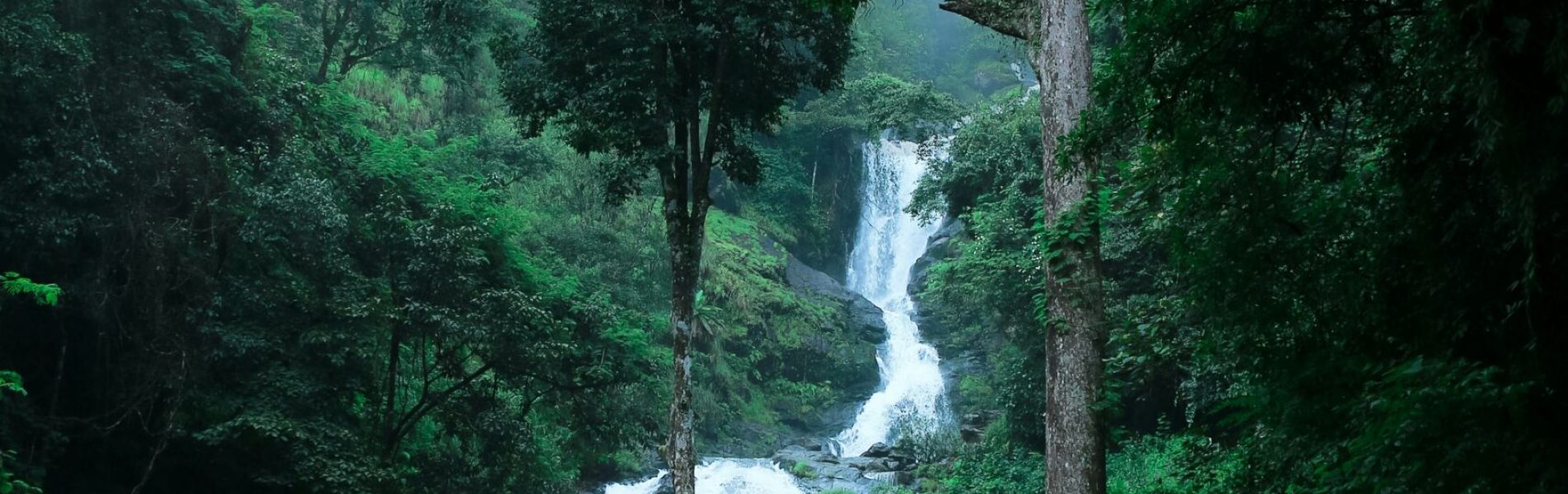 godwin-bephin-thrnz8zgQDE-unsplash