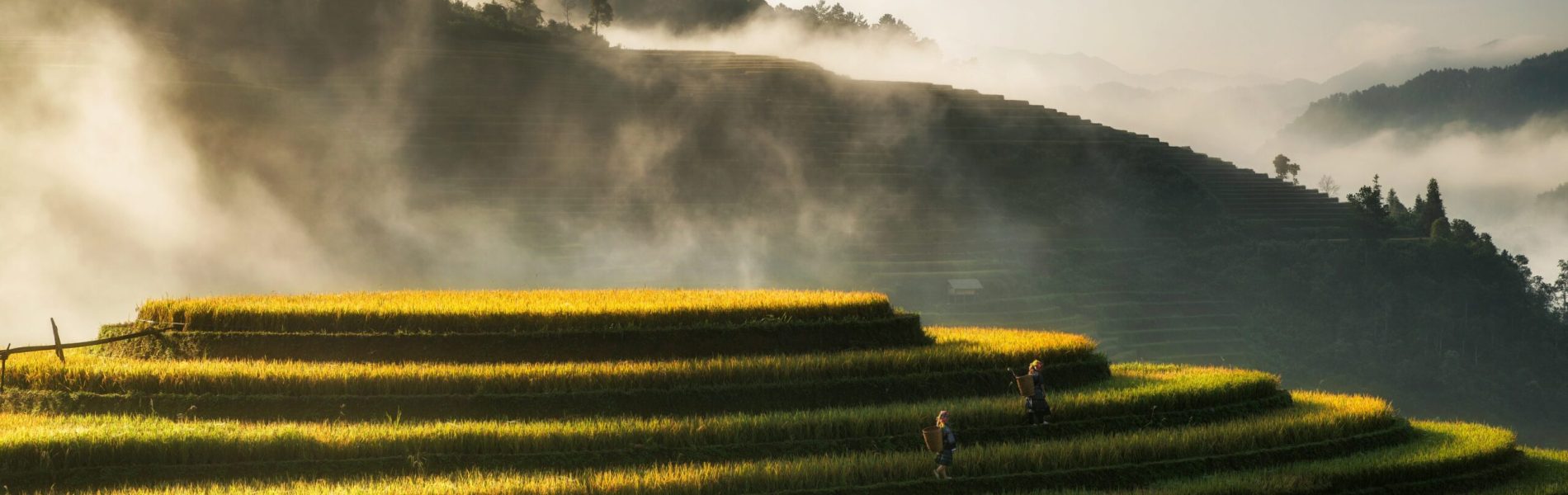 hoach-le-dinh-PeRt3uMmjYM-unsplash