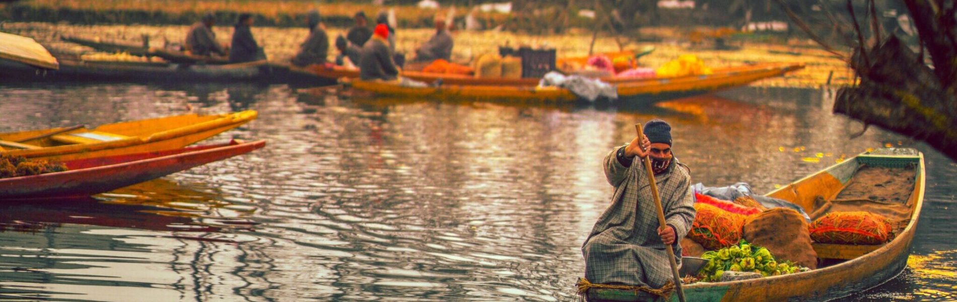 imad-clicks-VGlTRP549YA-unsplash