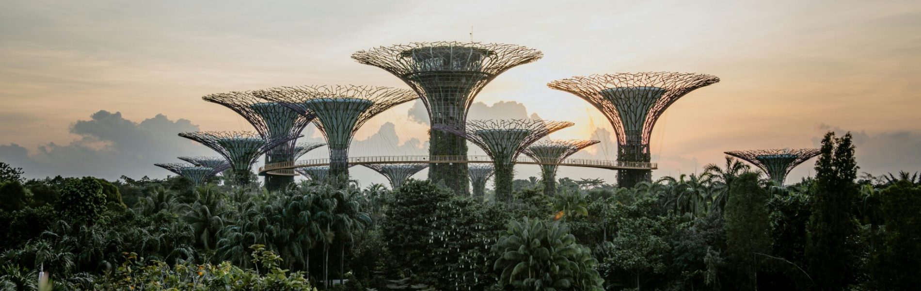 isaac-66h9h7gXotA-unsplash