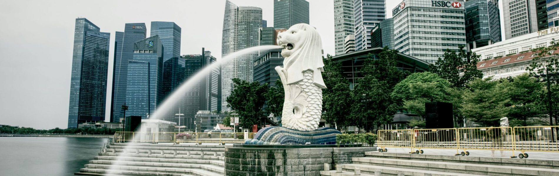 jay-ang-v0BgDZTJyPY-unsplash