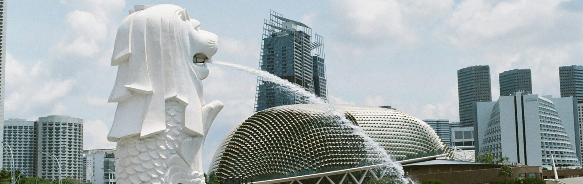 jisun-han-cjSsSQ7Yedk-unsplash