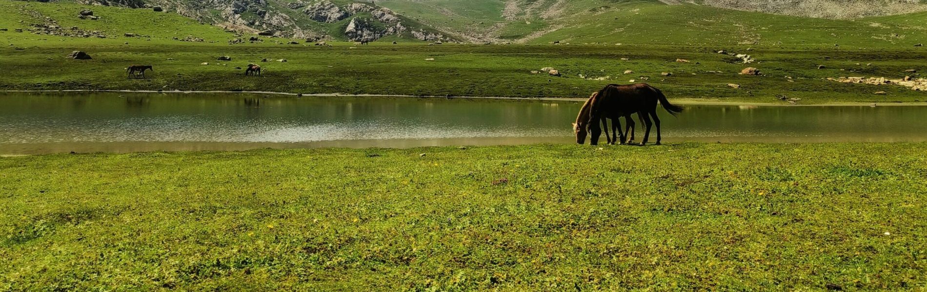 kavya-p-k-GRbPK8IUQ6g-unsplash