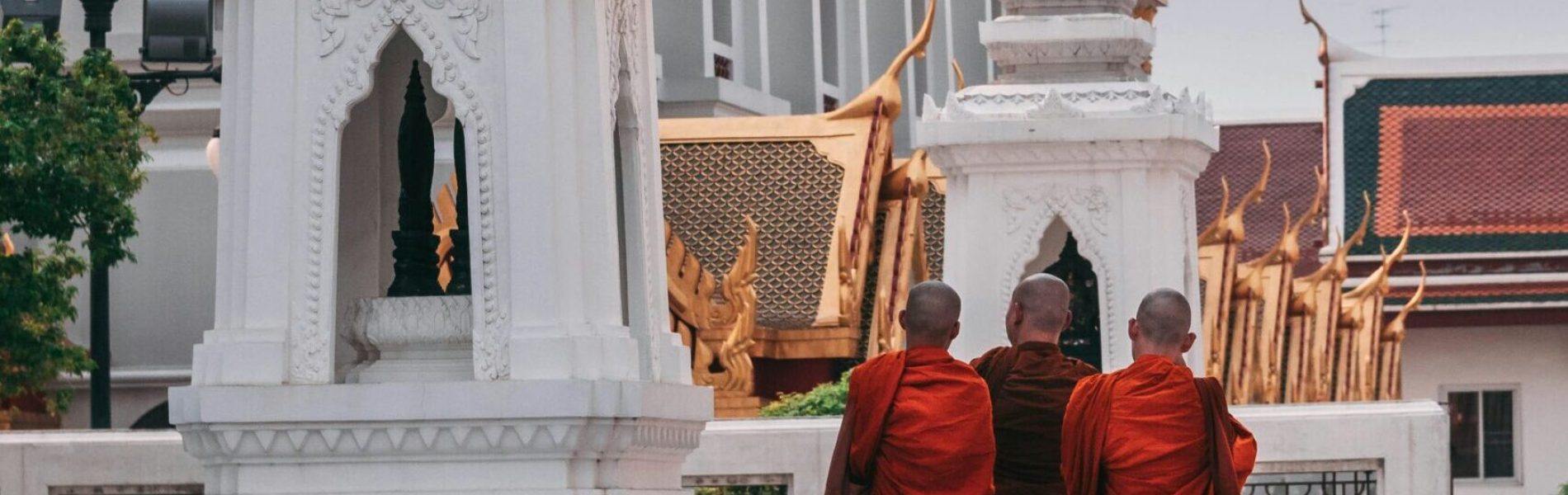 kiril-dobrev-MB1YI7cLOG4-unsplash