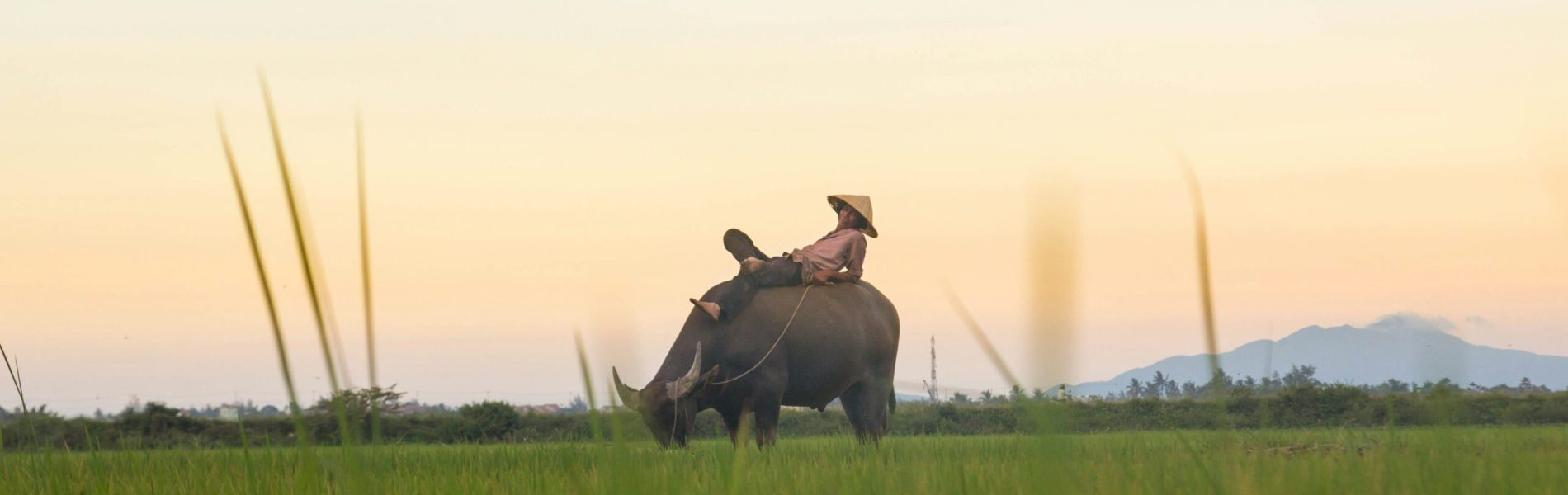 kiril-dobrev-UB0QiVPsXgc-unsplash