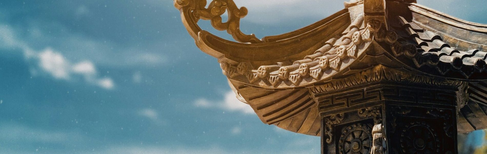 linh-tran-VIvGPBm6uxg-unsplash (1)