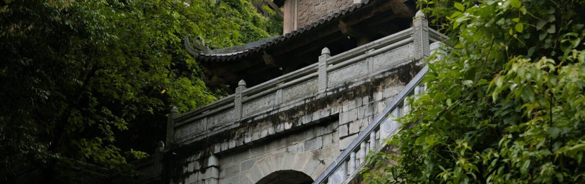 minh-nhat-doan-WO2d3P20JQM-unsplash (1)