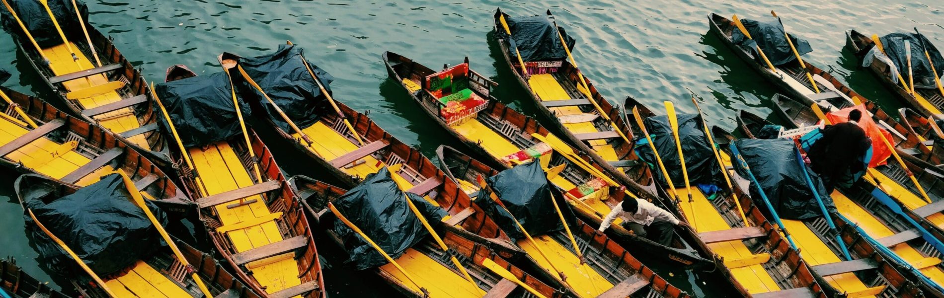 muskan-gohrani-kr1EXKIsH-Y-unsplash