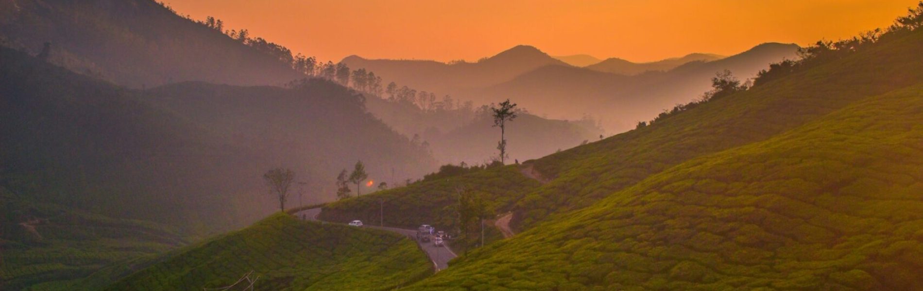 navi-lotbFfrhm5Q-unsplash