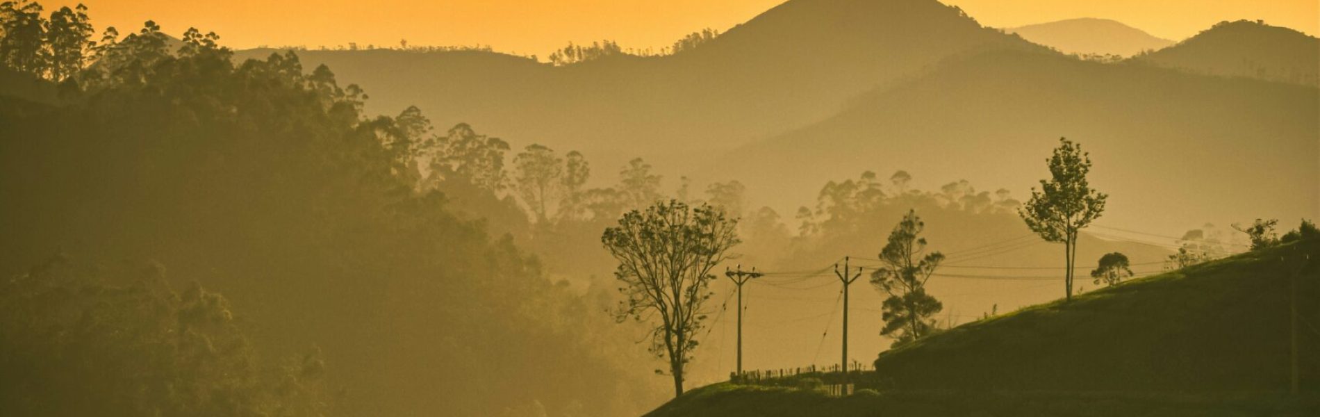 navi-nZniGS757fY-unsplash