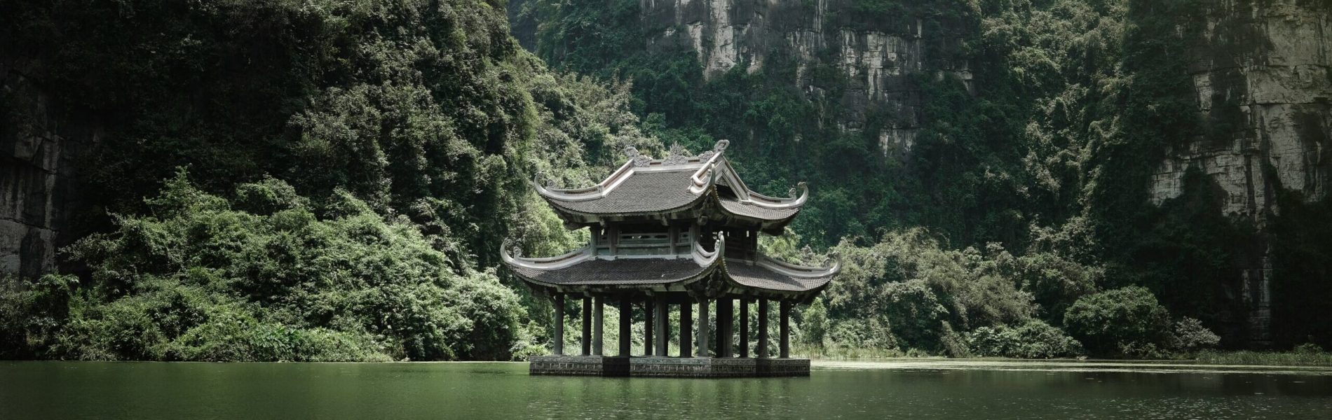 nguyen-bui-tMedhCbS3pY-unsplash