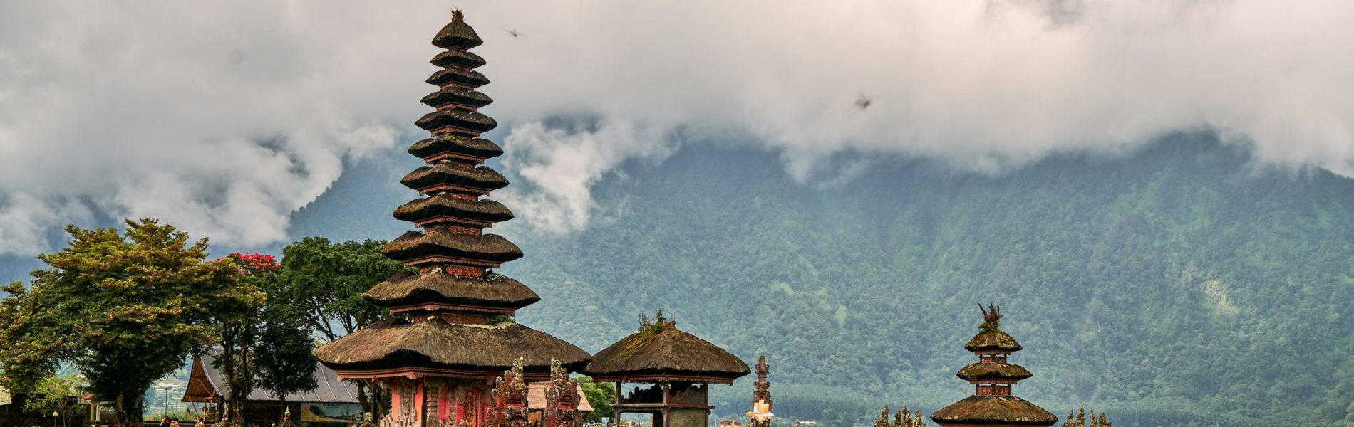 norbert-braun-nKxzrl6mfYU-unsplash