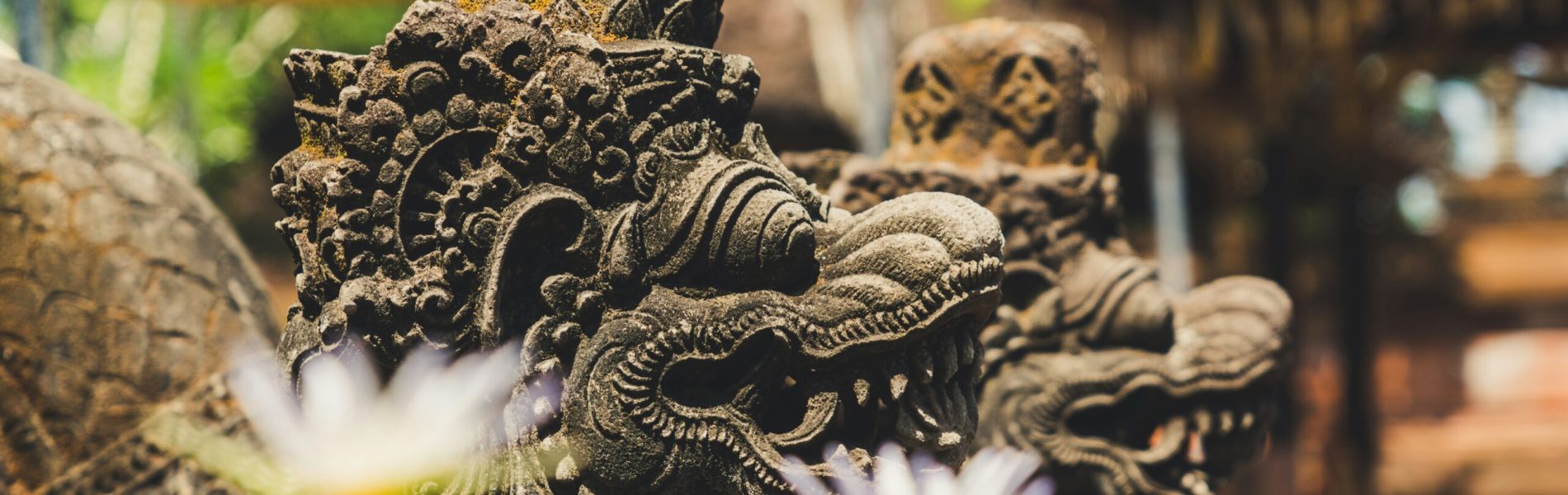 paolo-nicolello-zb3b08nJlww-unsplash