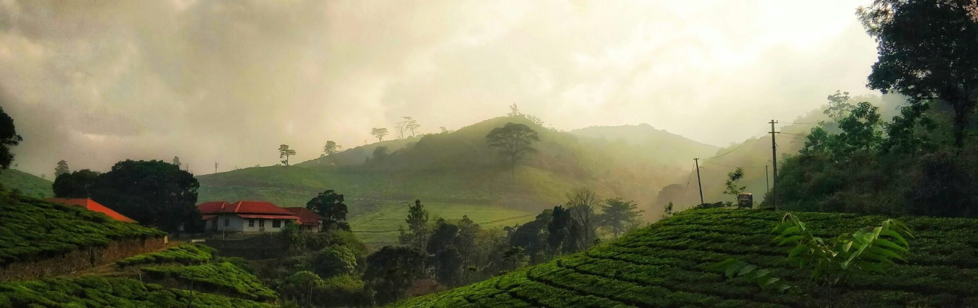 philip-liju-srvtMQSWDhE-unsplash