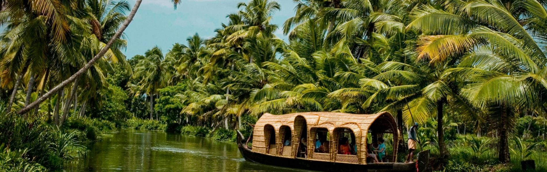 photo-1602216056096-3b40cc0c9944