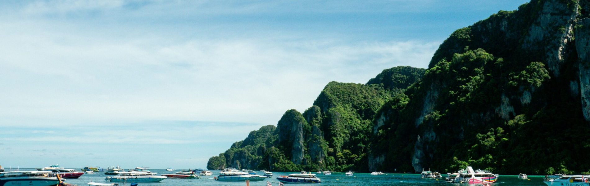 prashant-wl6LSOz3KyU-unsplash