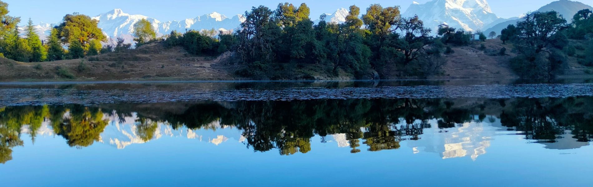 priyavrat-uniyal-PuV0aTQuu3g-unsplash