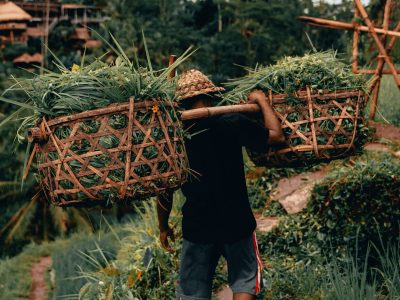 radoslav-bali-umfRZ2Hb1OM-unsplash