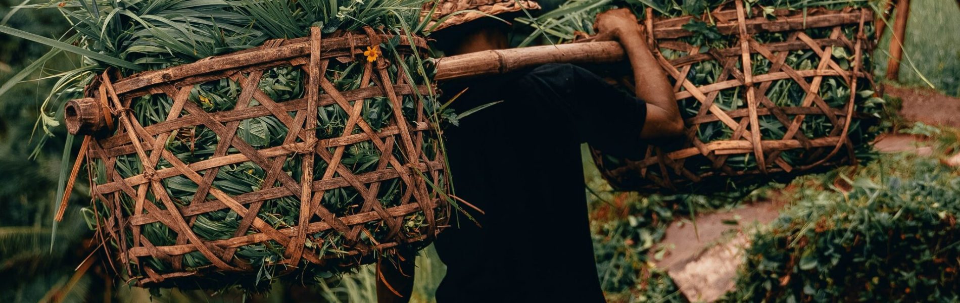 radoslav-bali-umfRZ2Hb1OM-unsplash