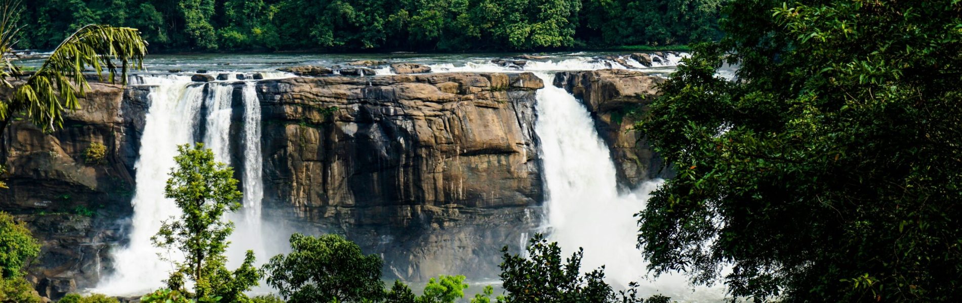 rashi-raffi-pBx1VvMCL24-unsplash