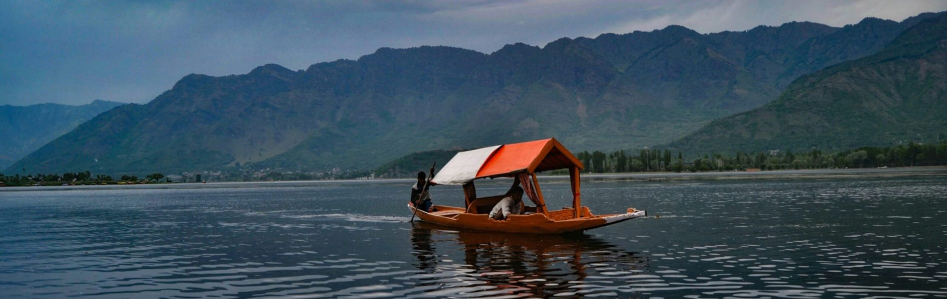 renzo-d-souza-wt6VC8hY418-unsplash