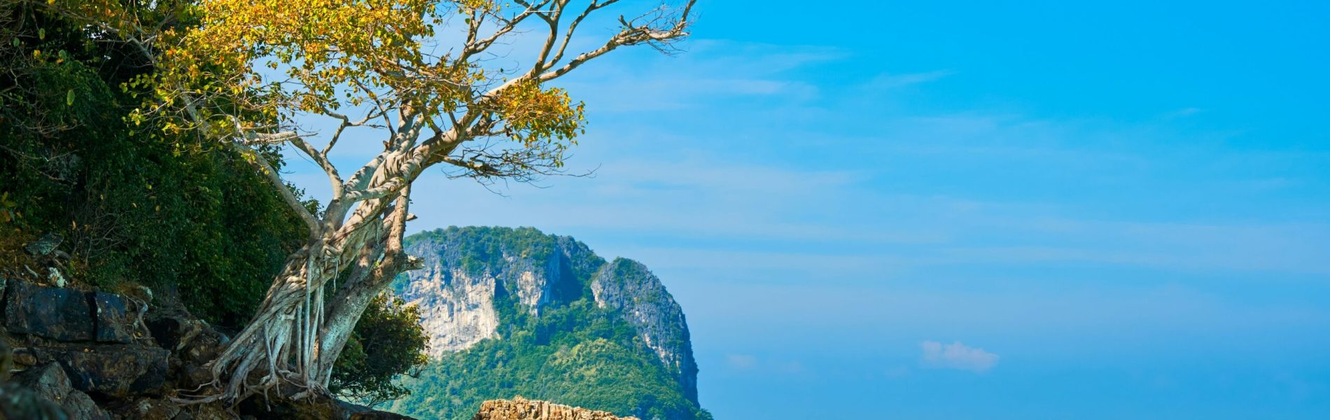 riccardo-chiarini-T4spDwkjTAM-unsplash