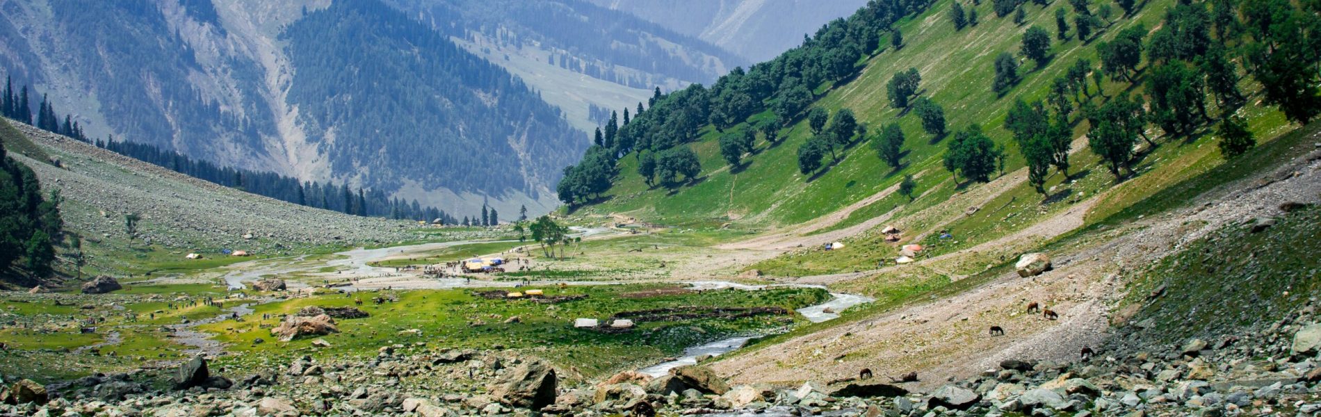 yasser-mir-wXTa0Wnsjnw-unsplash