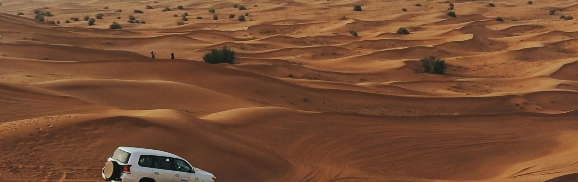 zafeerah-heesambee-bXsJnwcIykw-unsplash